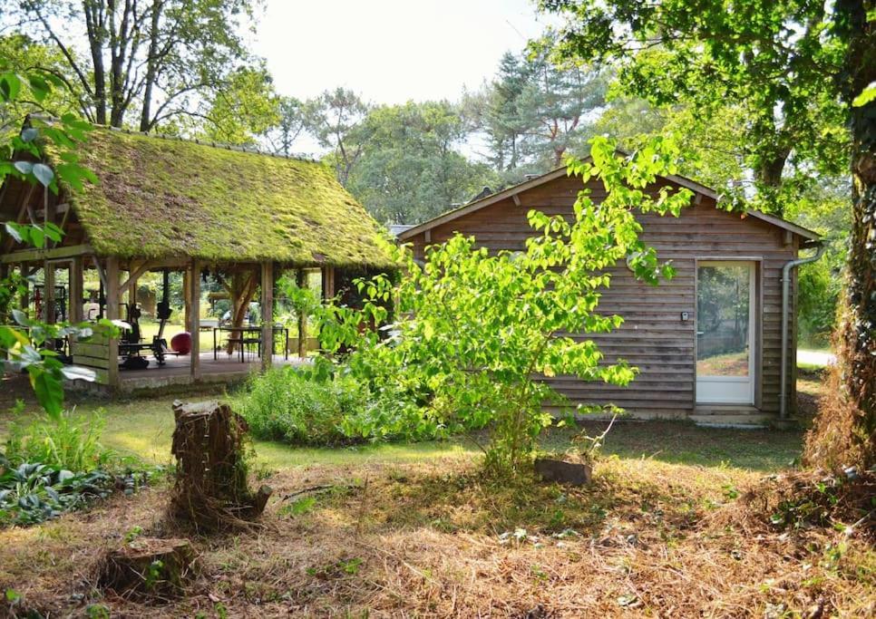 Chalet Cosy Au Coeur De La Foret De Broceliande Beignon 外观 照片