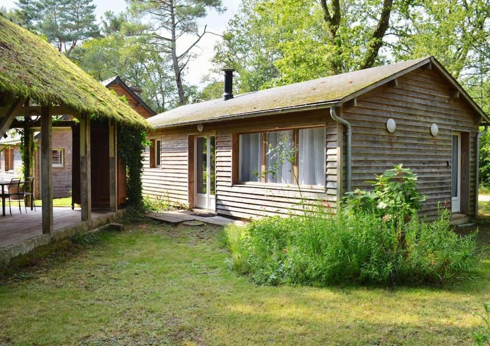 Chalet Cosy Au Coeur De La Foret De Broceliande Beignon 外观 照片